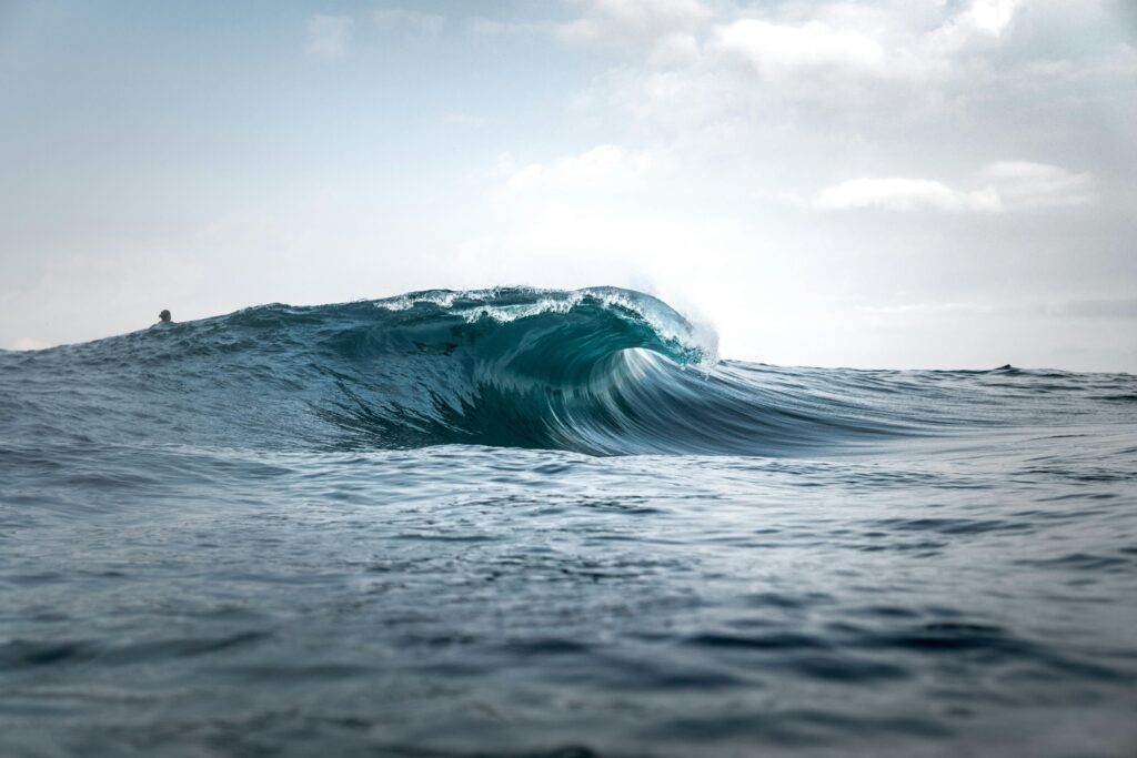 surf e onda