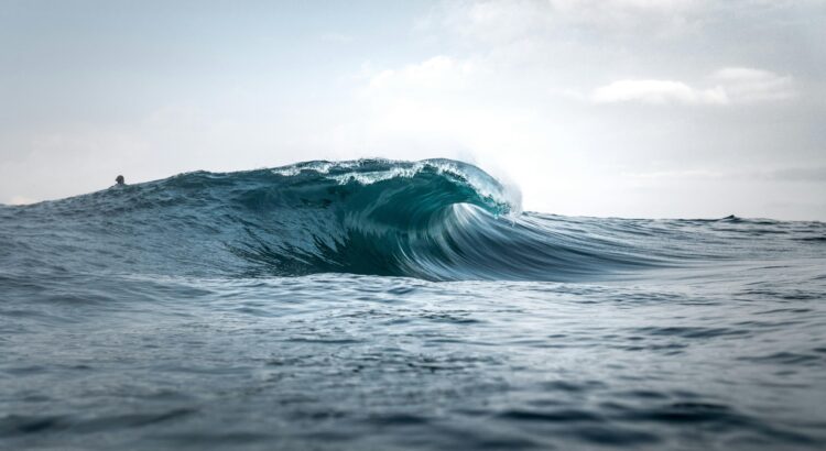 surf e onda