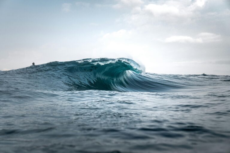 surf e onda