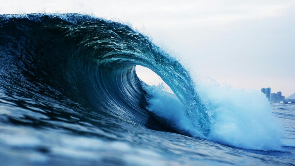 surf competições