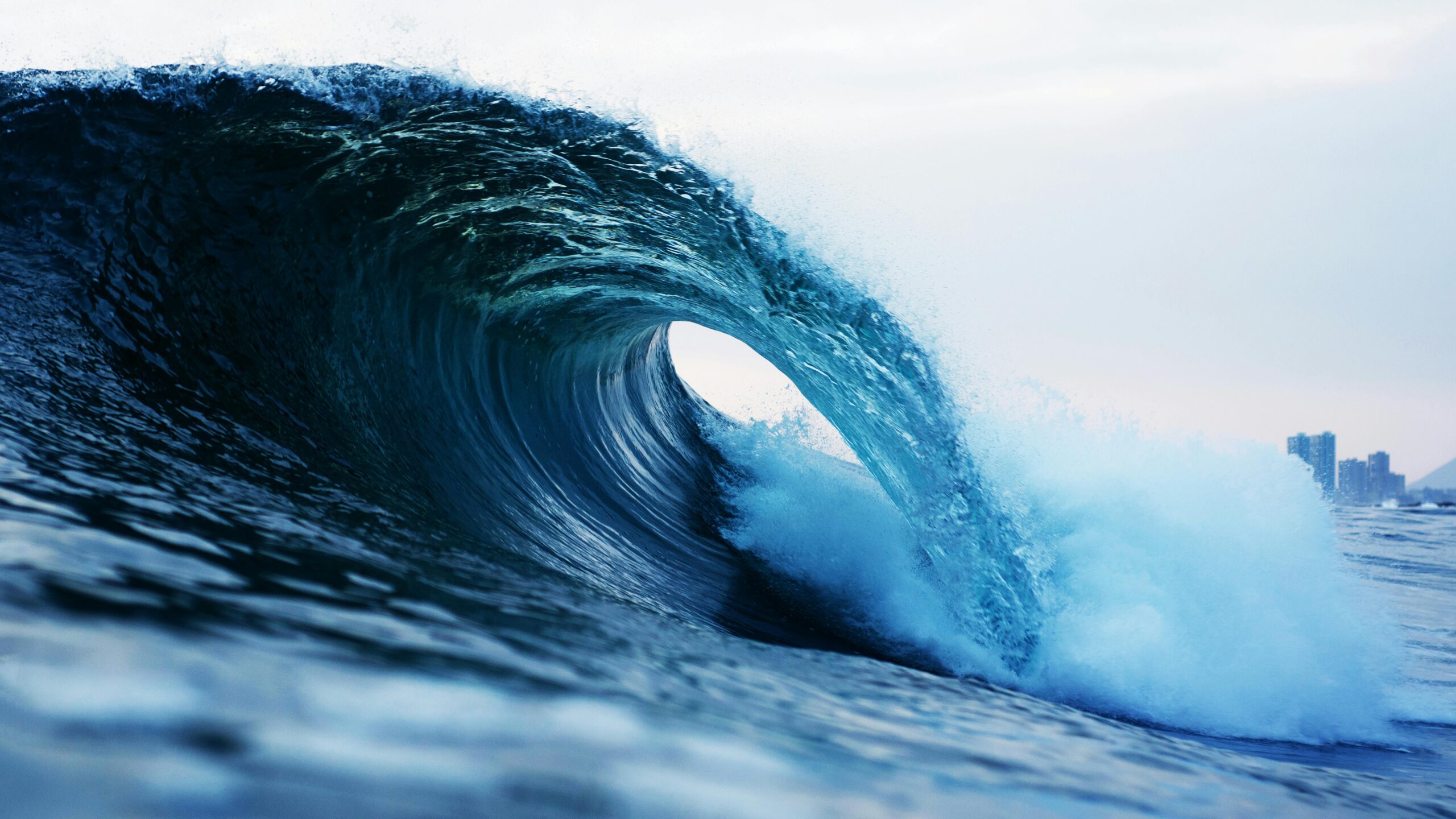 surf competições